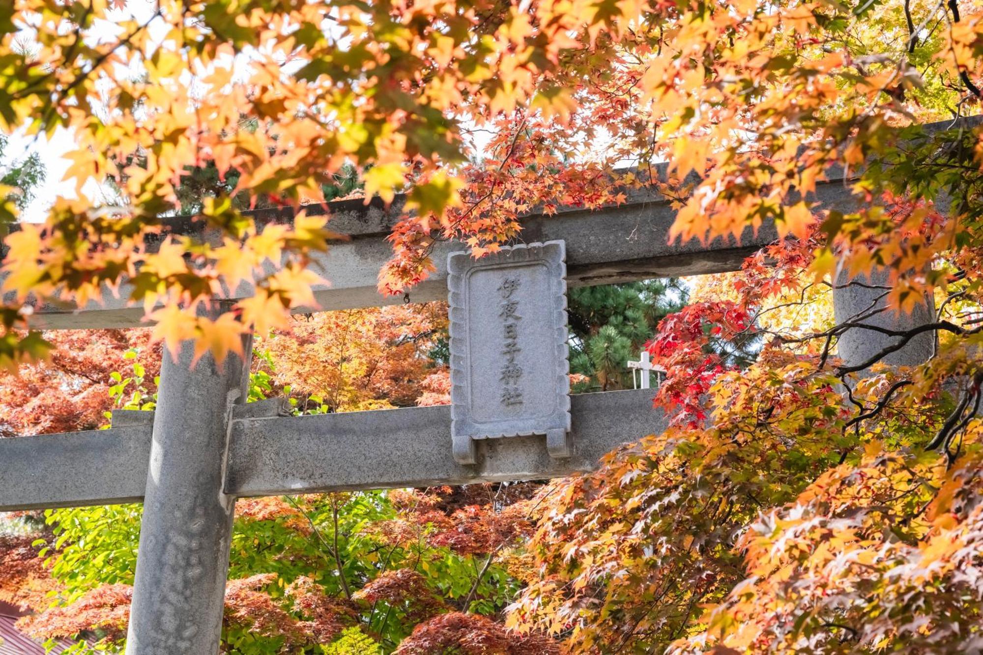 ホテルマイステイズ札幌中島公園 エクステリア 写真
